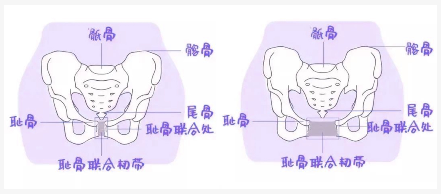 Recommended-Pelvic-Floor (2) Рекомендуемый тазовый пол (2)