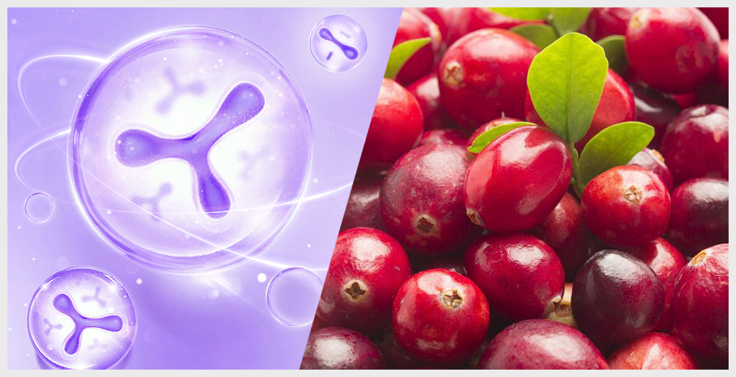 Pelvic floor muscle repair (8) Восстановление мышц тазового дна (8)